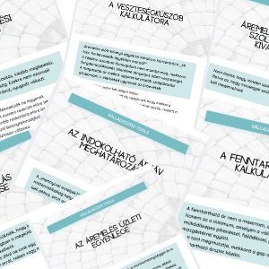 Áremelés biztos alapokon Cognitum Program